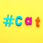 Cat Hashtags – What’s the Best Cat Hashtag to Use?