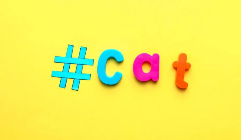 Best cat hashtags which you can use on instagram.